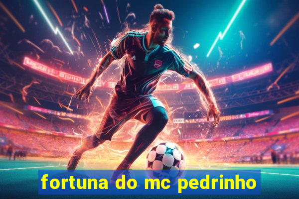 fortuna do mc pedrinho